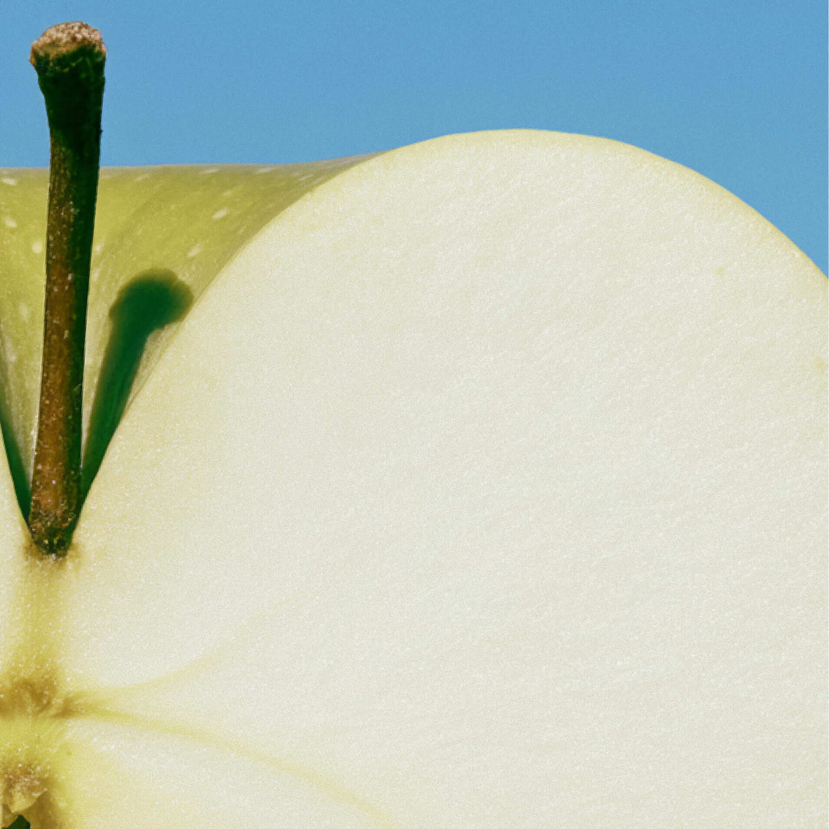 Olistic | The Hair Mist