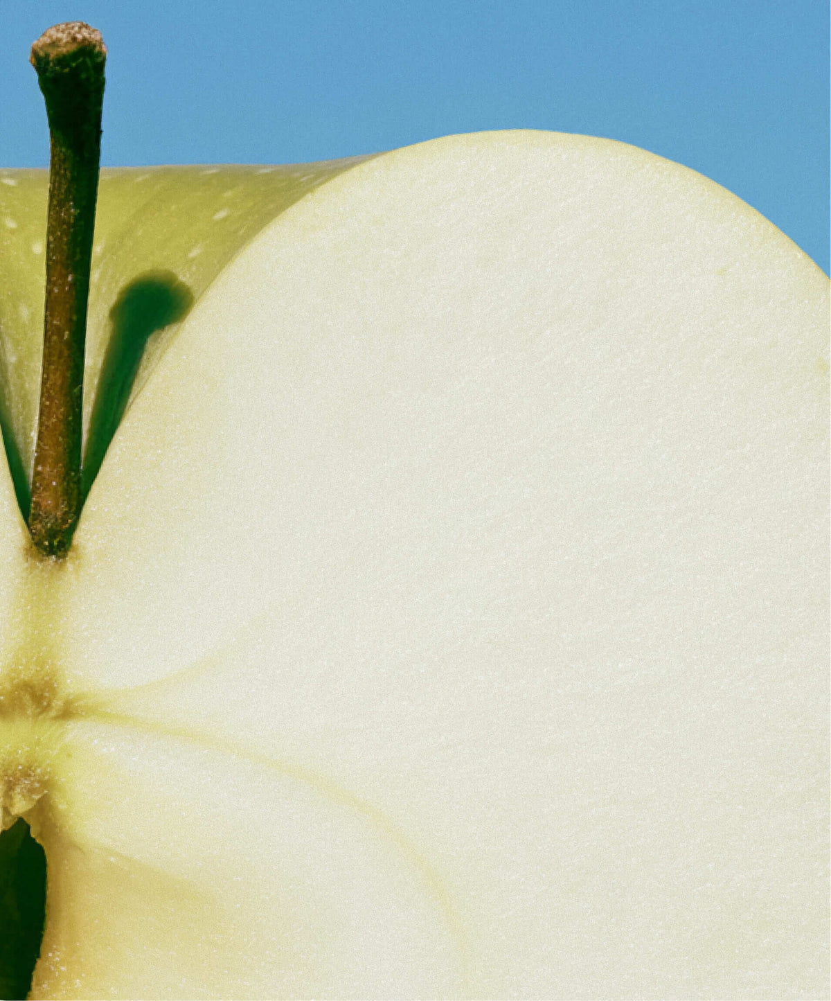 Olistic | The Hair Mist