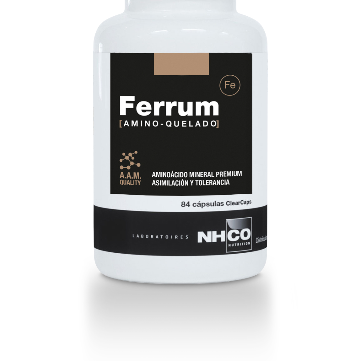 Render1_Ferrum.png