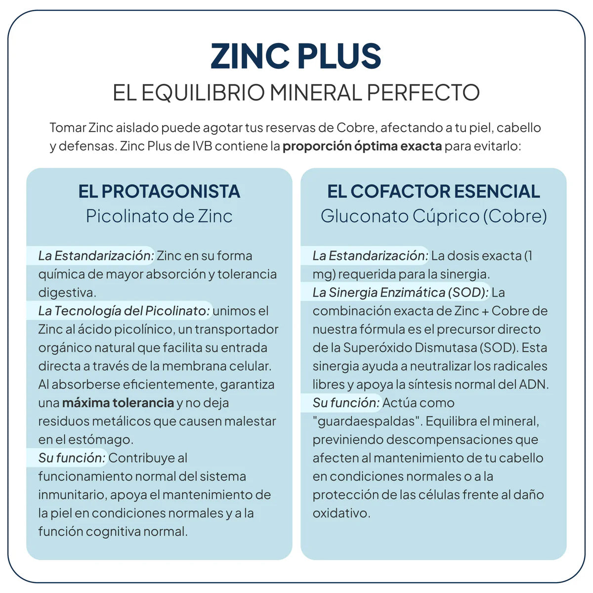 IVB - Zinc Plus