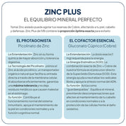 IVB - Zinc Plus