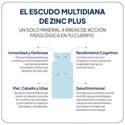 IVB - Zinc Plus