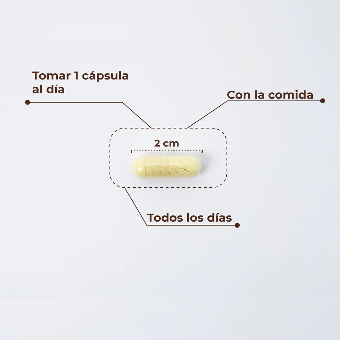 KOBHO Trans Resveratrol + Quercetin 60 Cápsulas Antioxidante Antiedad Celular