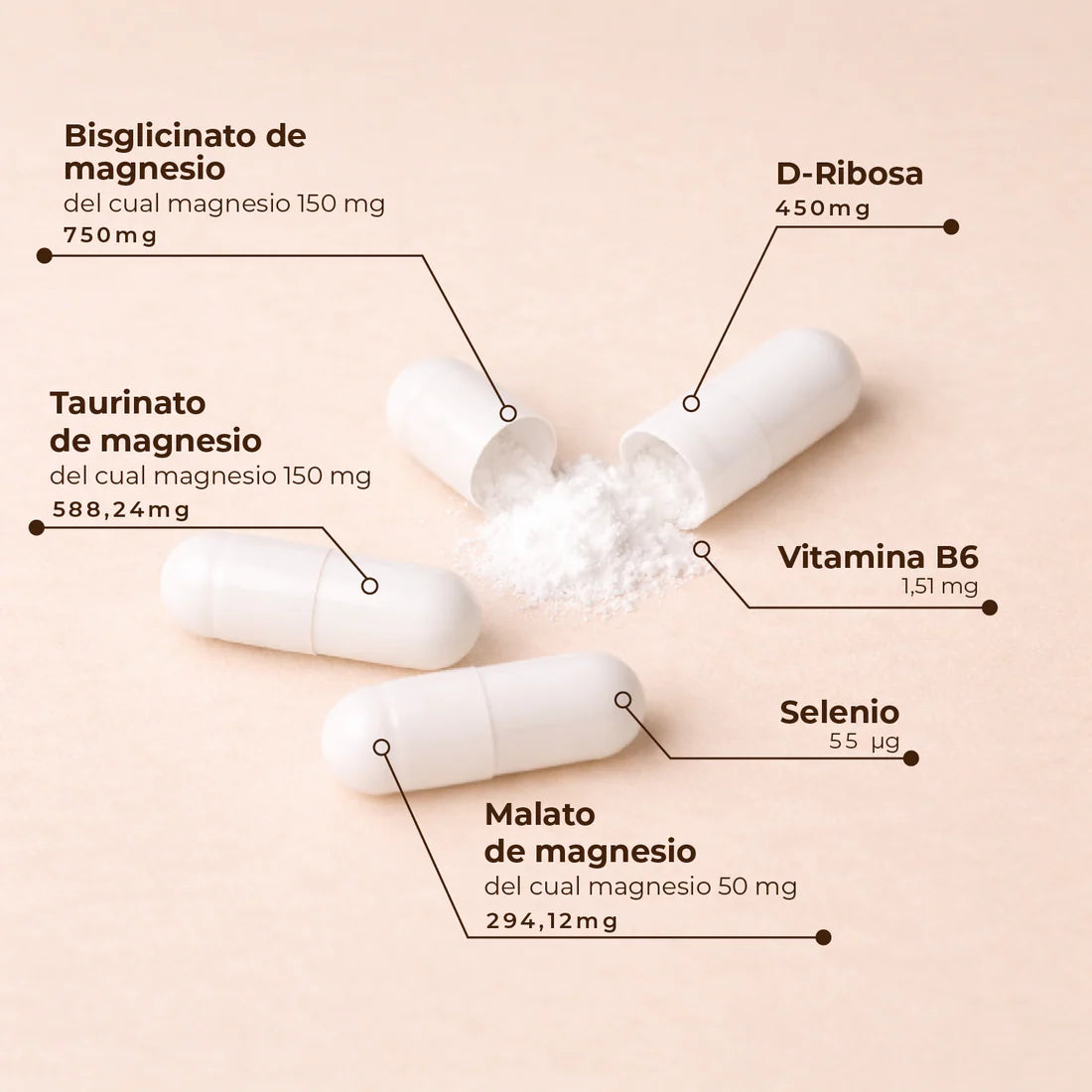 trimagensium_4_1100x_362ab57d-1a26-41d2-a734-a58e9814485a.webp