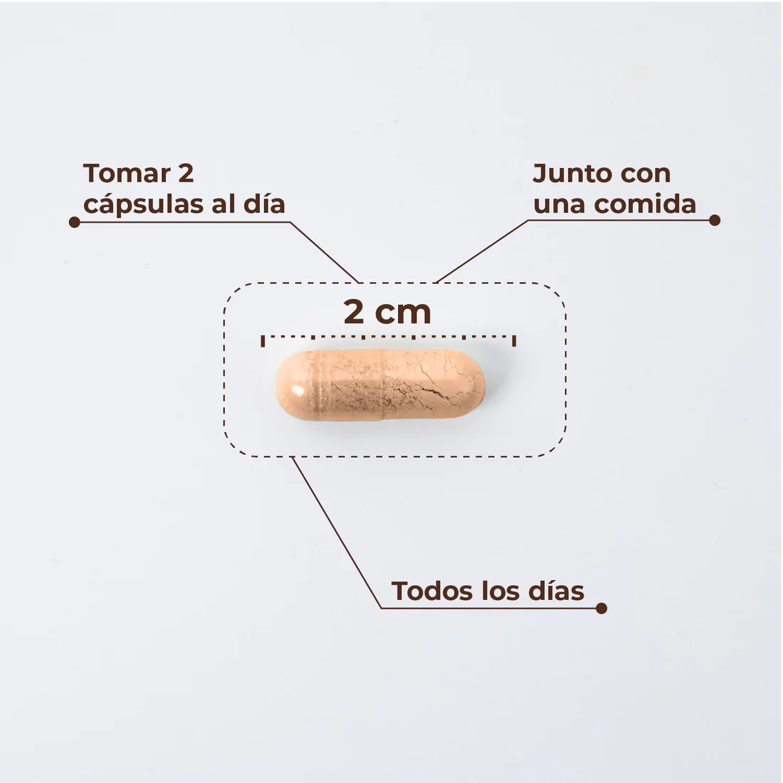 KOBHO W Balance 60 Cápsulas Espino Amarillo Omega 7 Pycnogenol Sequedad Vaginal